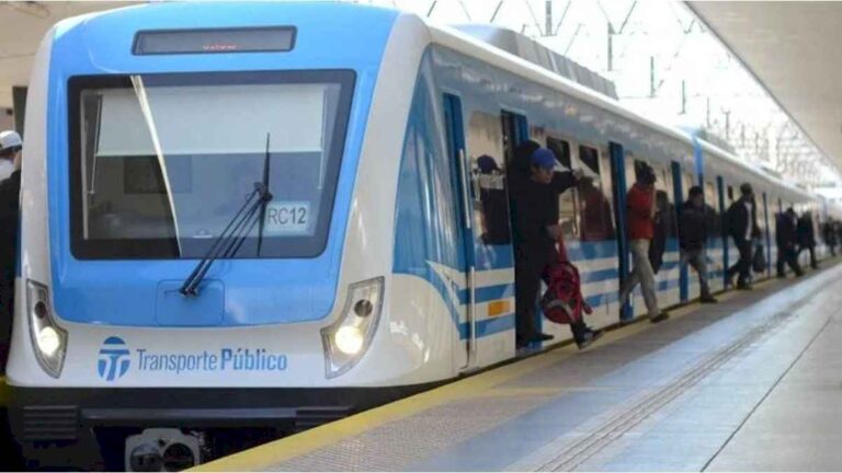 el-gobierno-avanza-con-la-privatizacion-del-servicio-de-trenes-de-pasajeros:-las-7-lineas-afectadas