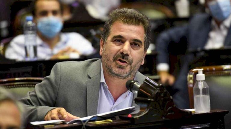 reforma-electoral-en-el-congreso:-se-votara-ficha-limpia-y-sufragios-de-argentinos-en-el-exterior