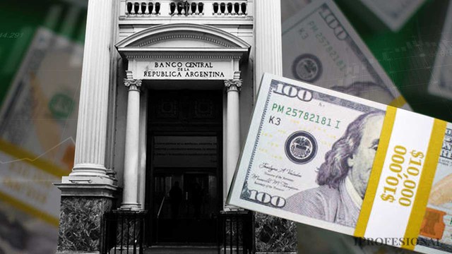 El Banco Central sigue comprando dólares y esto es lo que adquirió en la primera quincena del mes