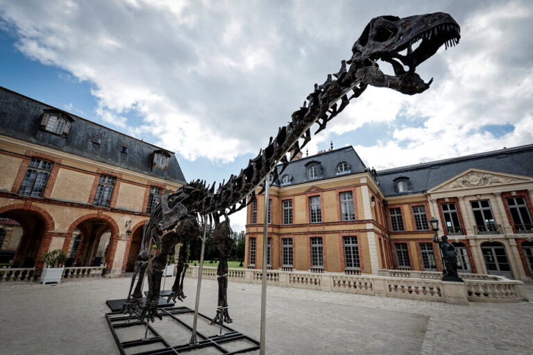 Un esqueleto gigante de dinosaurio vendido por 6 millones de euros
