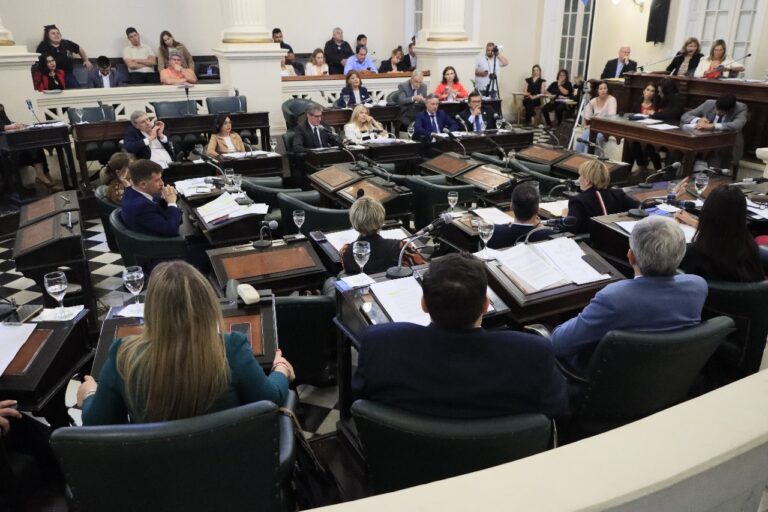 Diputados otorgó media sanción al Presupuesto 2025