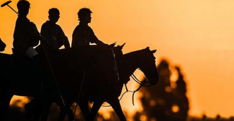 El Polo Sur