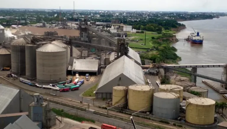 Aumentó el volumen de exportaciones de granos, harina y aceites respecto al 2023