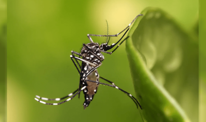 El Ministerio de Salud de Córdoba firmó un convenio para mejorar el abordaje del dengue