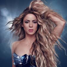 Shakira tuvo que suspender un show por una internación de urgencia.