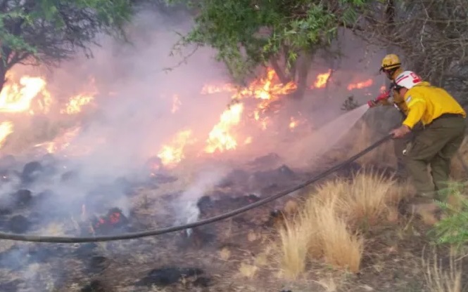 Milei disolvió el Fondo del Manejo del Fuego