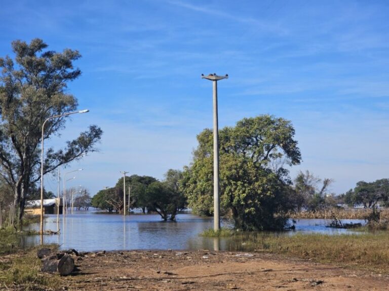 Continúa descendiendo el río Uruguay y alivia a localidades correntinas
