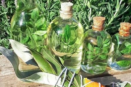 Caña con Ruda: cómo preparar el brebaje para ahuyentar los males