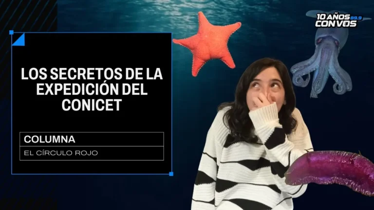 Pedro Rosemblat y el Gordo Dan coinciden en el fondo del mar