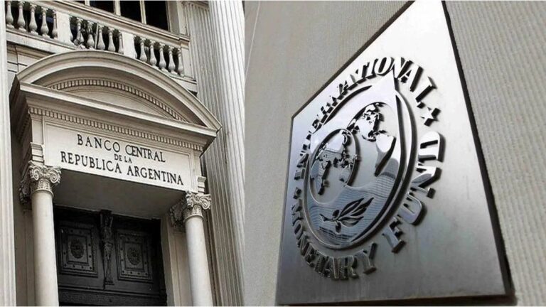 El FMI espera que el BCRA realice compras programadas de dólares