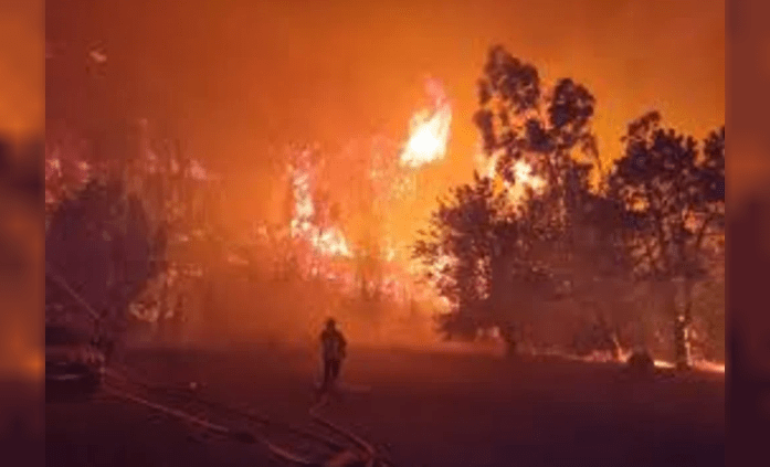 Incendio forestal arrasó más de 16.000 hectáreas en el sur de Francia