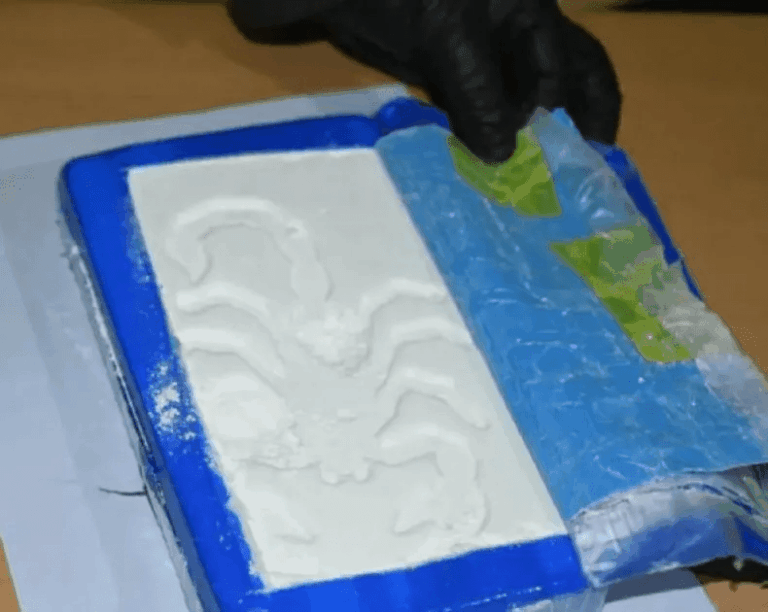 Descubrieron cocaina con una marca de escorpión: hay una detenida
