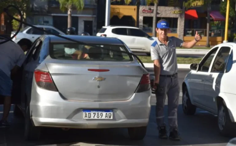 Combustibles: dos petroleras concentran casi el 80% de las ventas