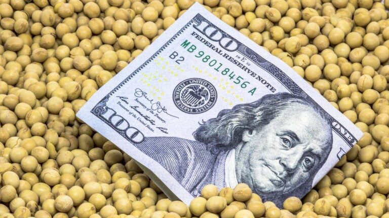 La soja subió con fuerza en Chicago, pero bajaron el maíz y el trigo