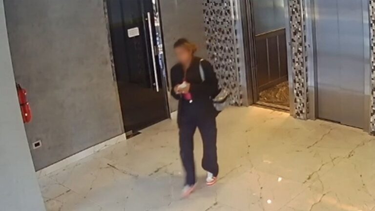 Cayó una viuda negra en Villa Urquiza: la descubrieron por una huella