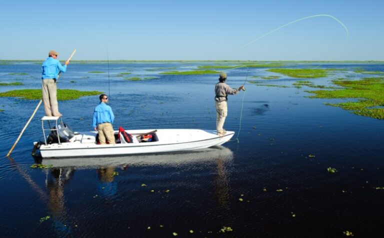 Éxito turístico en Corrientes: gran afluencia de visitantes en la primera quincena de enero