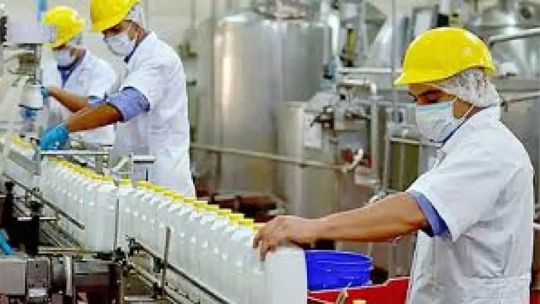 Sector lácteo: producción récord y consumo interno en baja