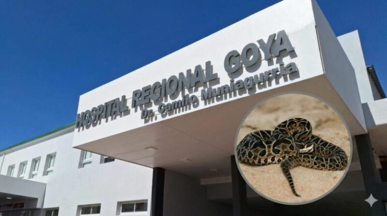 Serpiente yarará en su hábitat natural, entre pastizales.