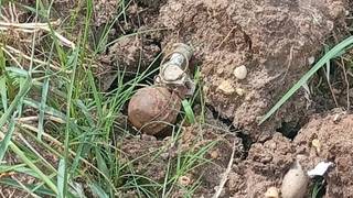 Operativo de seguridad de la Policía de Corrientes en el lugar del hallazgo