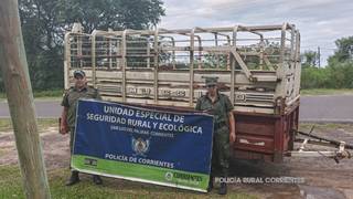 Efectivos policiales realizando control de transporte ganadero en camino rural de Corrientes