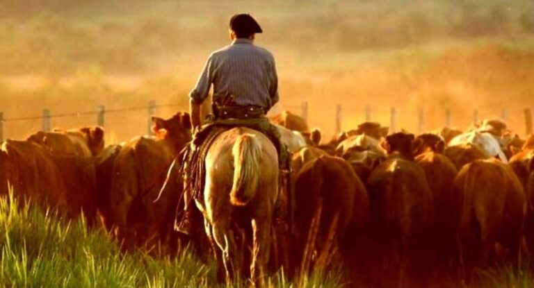 Trabajador rural en un campo, representando el sector beneficiado por la actualización de la prestación por desempleo.