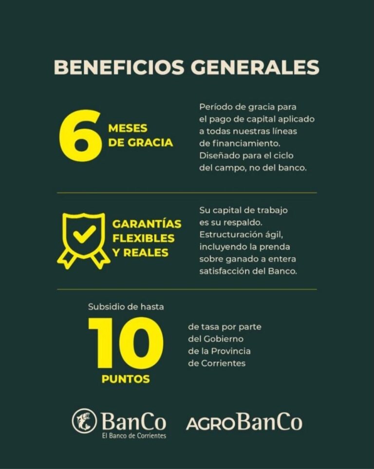 Anuncio de líneas de financiamiento Corrientes Potencia: Ganadería