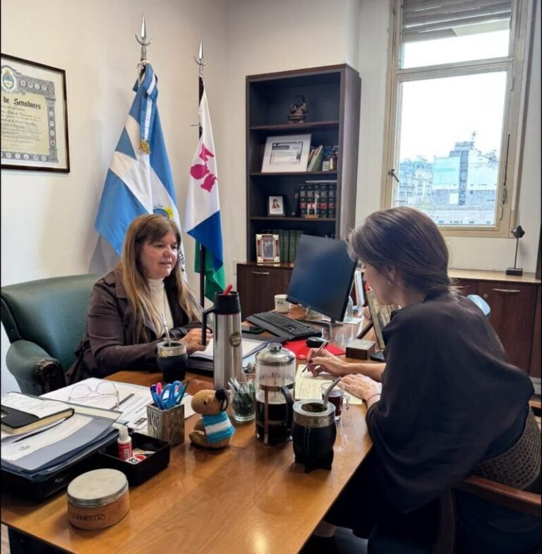 Reunión entre la senadora Gabriela Valenzuela y Paula Wachter de Red por la Infancia