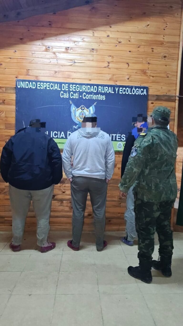 Camioneta Volkswagen Amarok gris secuestrada en operativo policial en Ruta Provincial N° 4